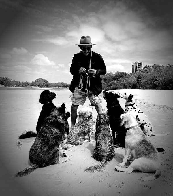 Eric training dogs on the Gold Coast beach
